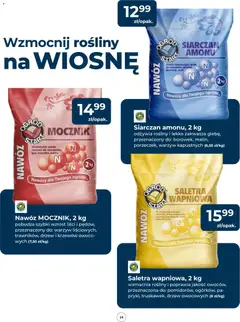 Pogląd oferty "Mrówka gazetka" - ważna od 23.04.2026 | Strona: 24 | Produkty: Rosliny