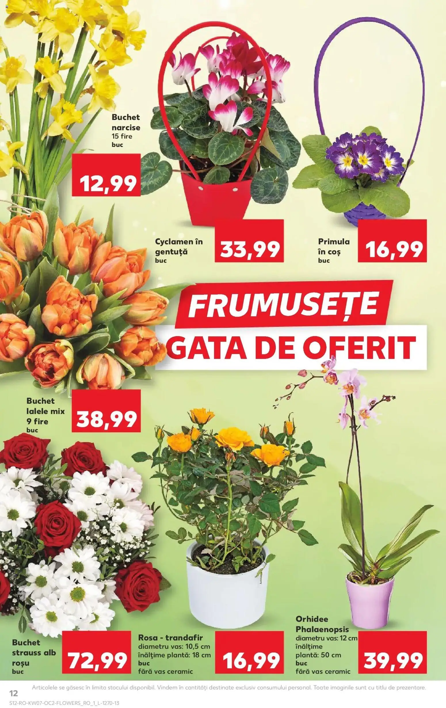 Noul catalog Kaufland – valabil de la 11.02.2026 | Pagină: 12 | Produse: Trandafir, Orhidee, Coș