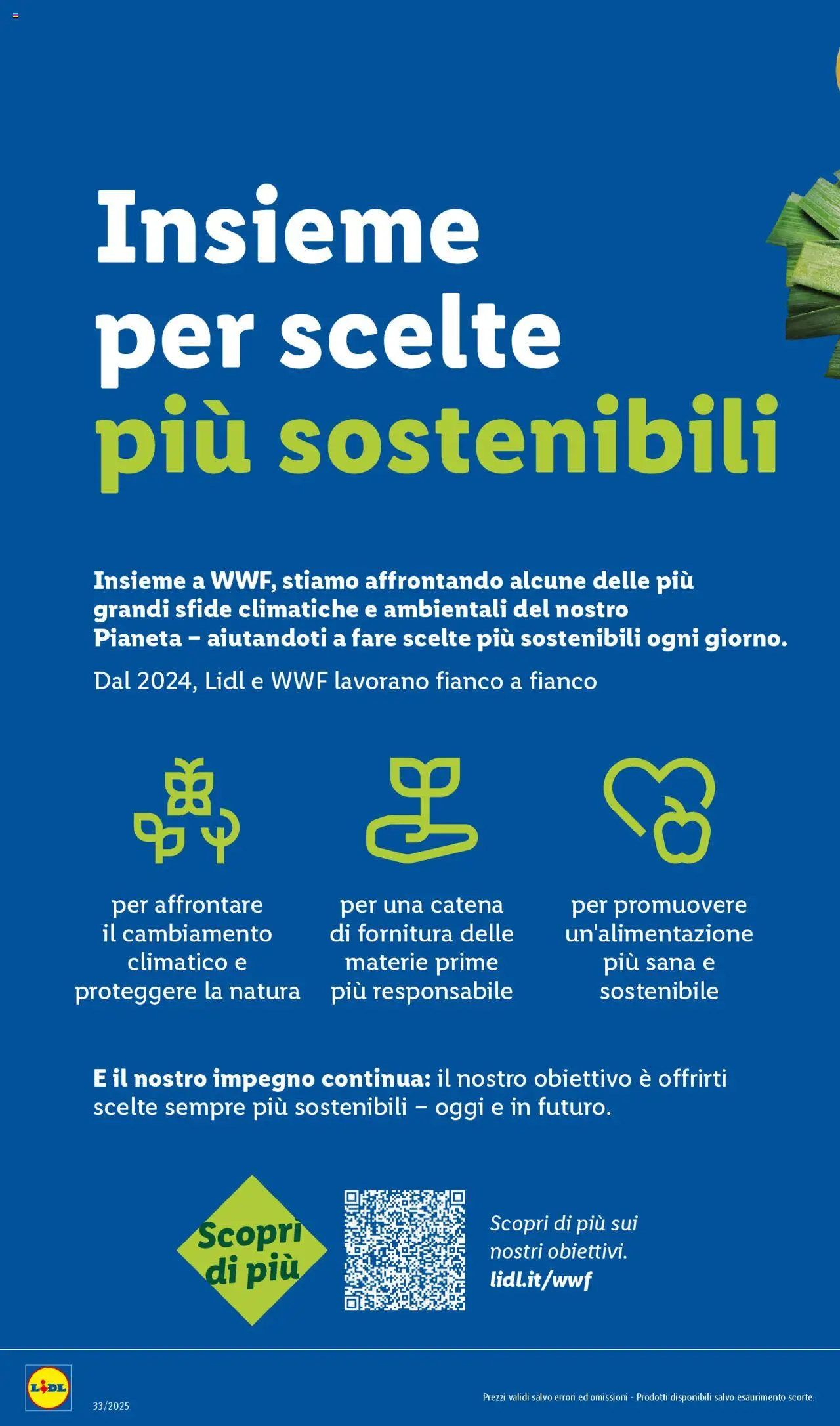 Volantino Lidl del 11.08.2025 | Pagina: 28