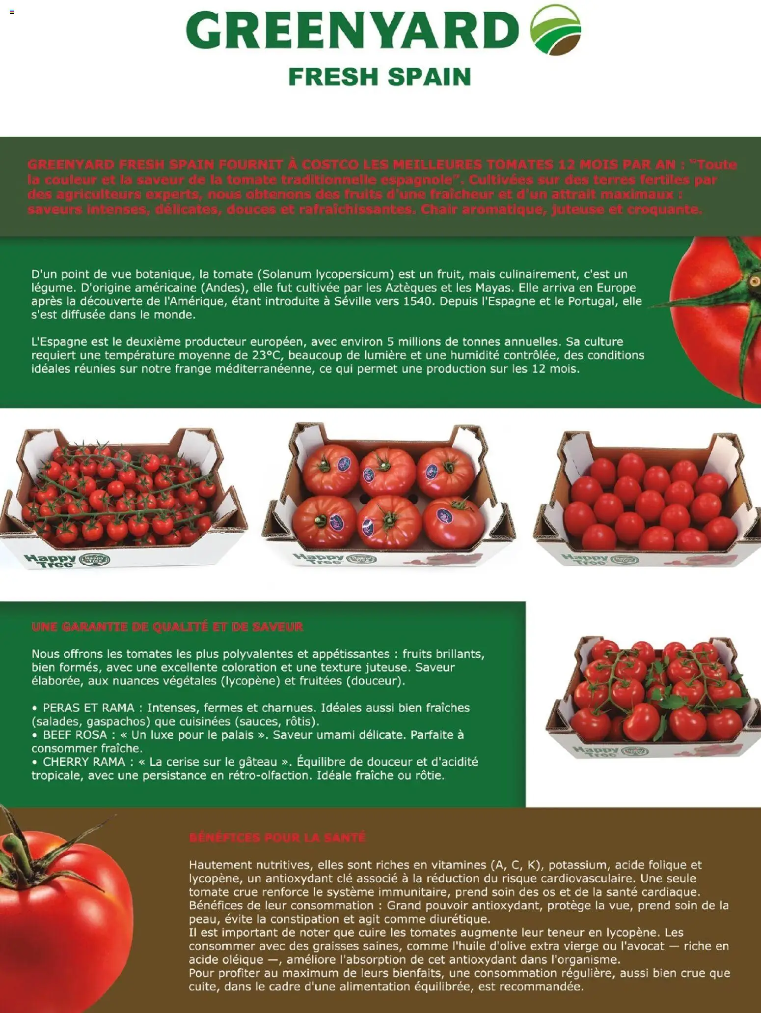 {H1} | Page: 140 | Produits: Clé, Mais, Tomates, Cadre