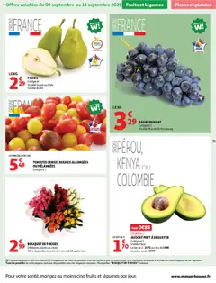  | Page: 21 | Produits: Raisin, Cerises, Fleurs et plantes, Tomates