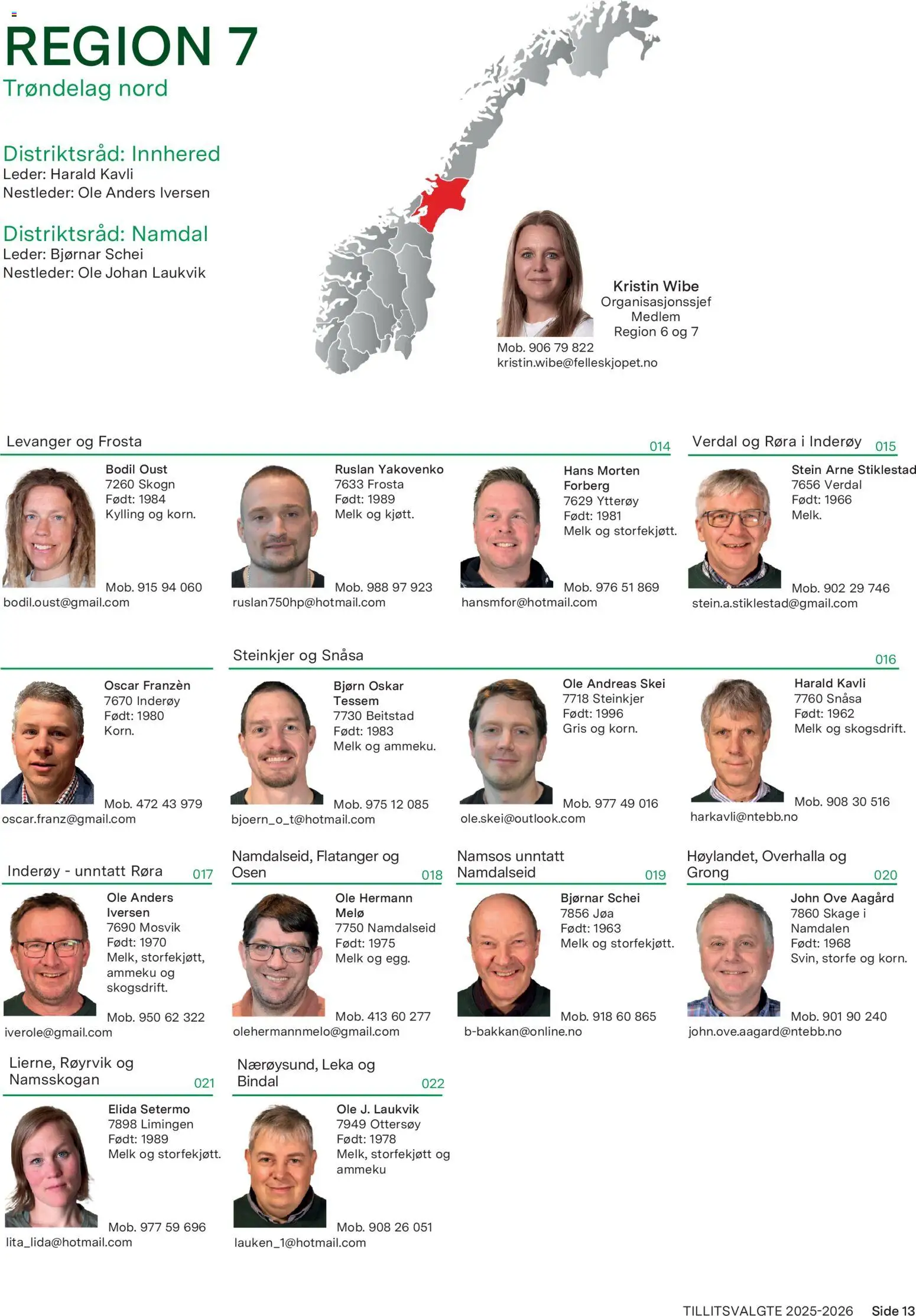 {H1} | Side: 13 | Produkter: Melk, Kylling, Lumini decorative