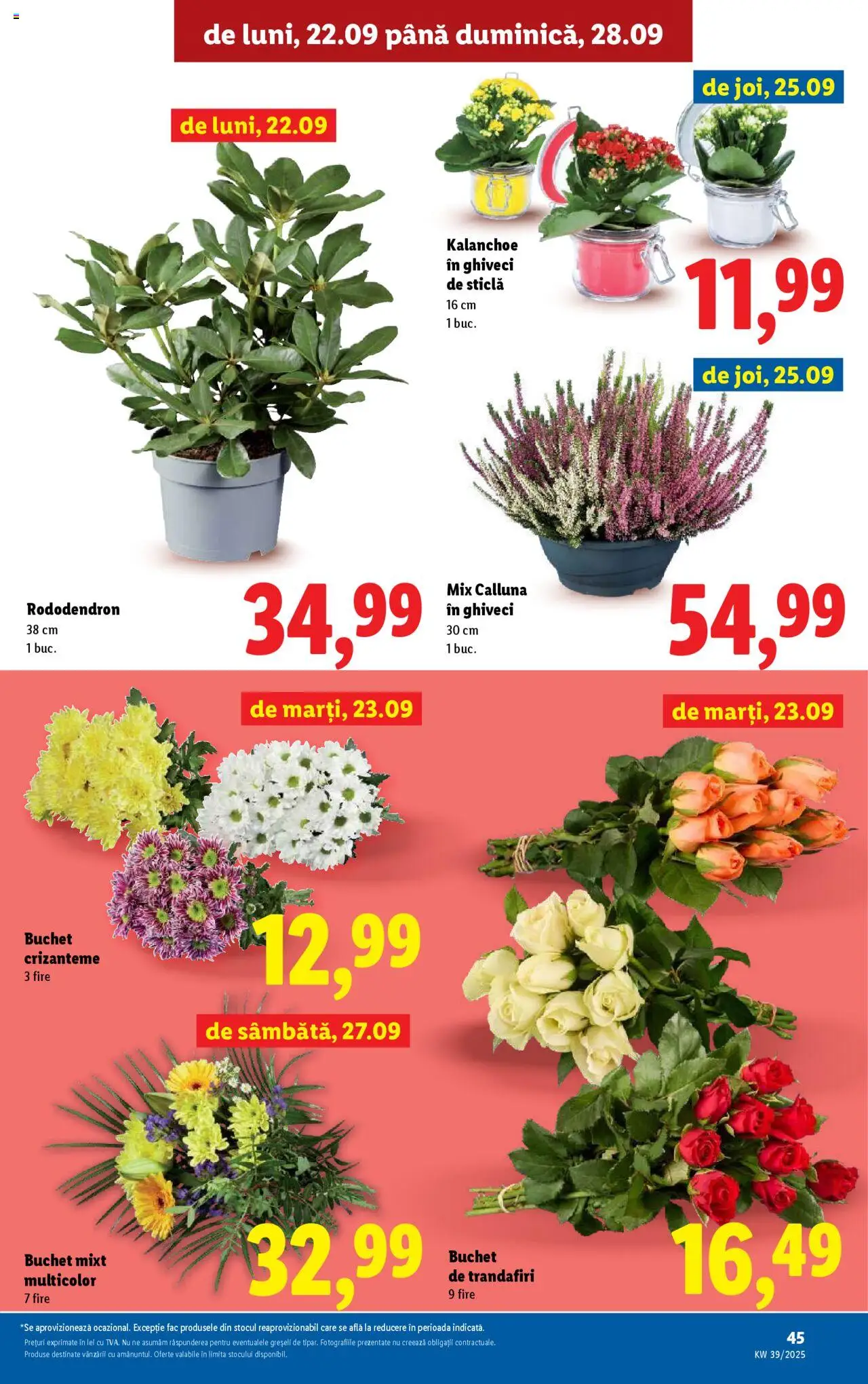 Noul catalog Lidl – valabil de la 22.09.2025 | Pagină: 45 | Produse: Ghiveci