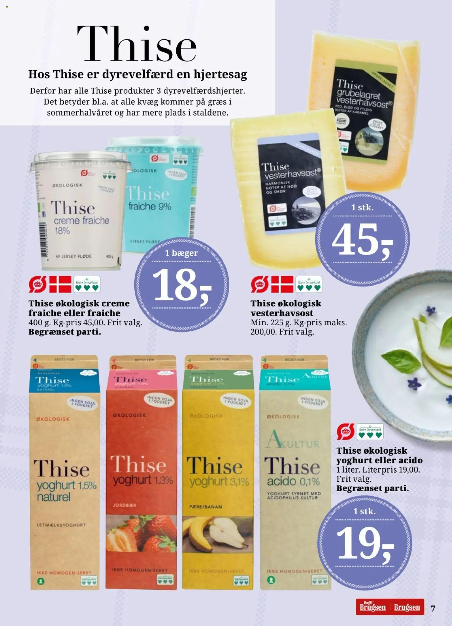 Dagli'Brugsen tilbudsavis – gyldig fra 27.02.2026 | Side: 7 | Produkter: Yoghurt, Creme fraiche, Jordbær, Fløde