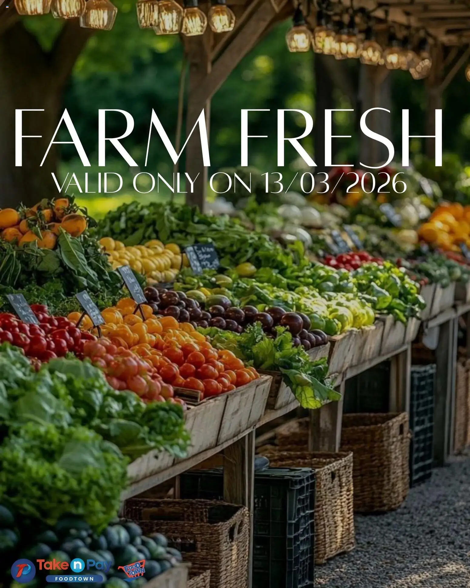 New Take n Pay catalogue – valid from 13.03.2026 | Page: 6