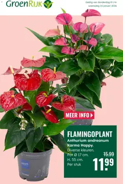 GroenRijk - Folder - Voorbeeld van een folder van GroenRijk, geldig van 08.01.2026