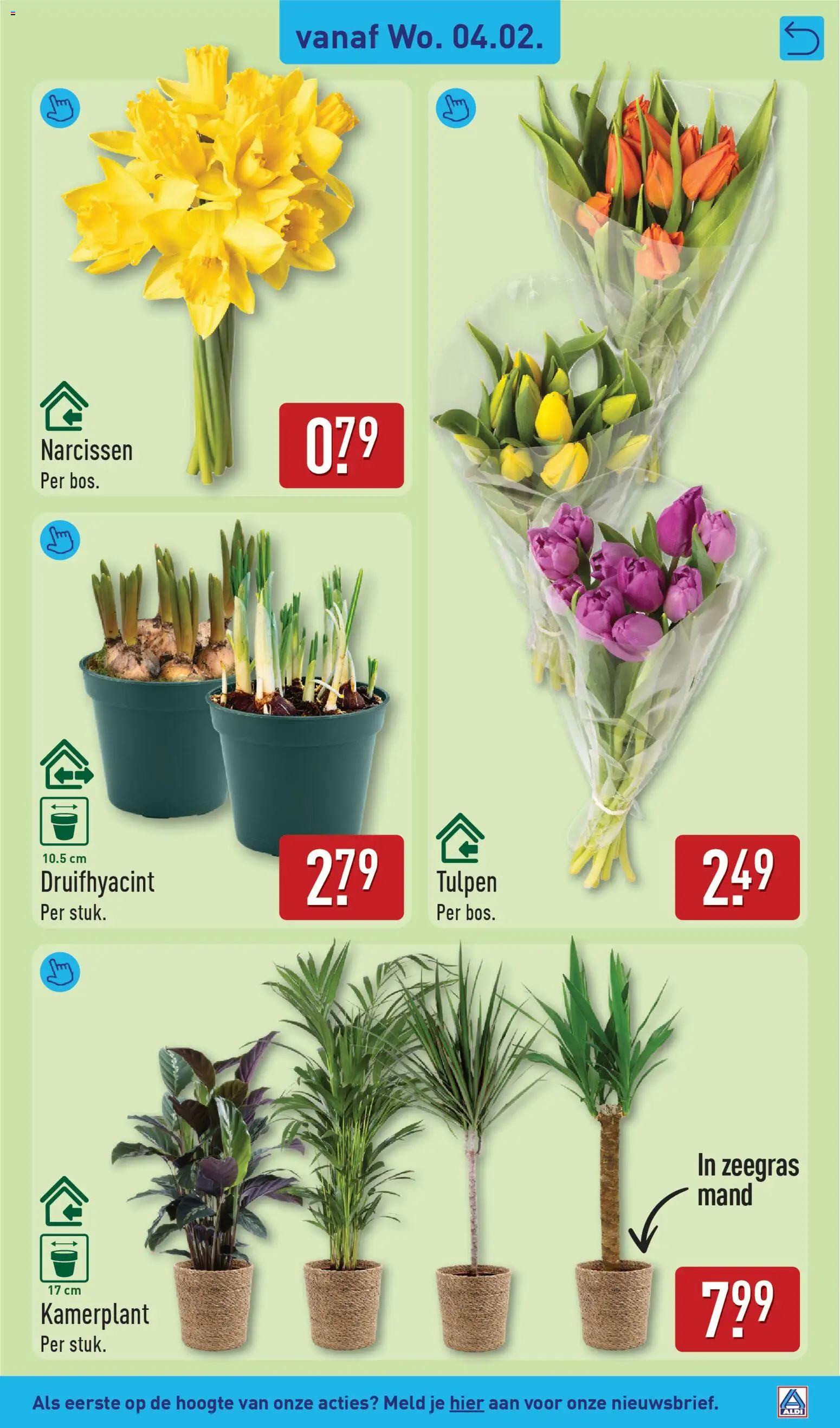 {H1} | Pagina: 31 | Producten: Mand