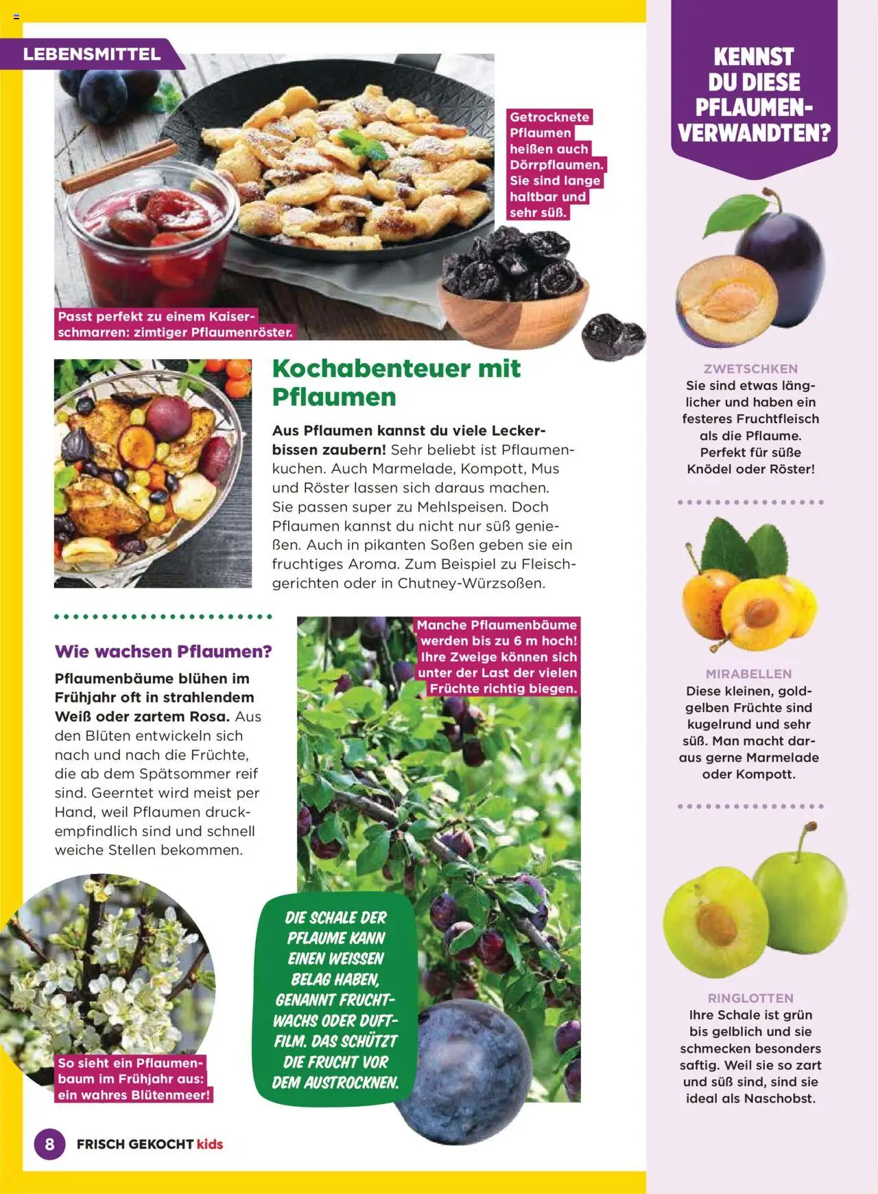 Billa Frisch Gekocht Kids 2025 gültig ab 01.09.2025 | Seite: 8 | Produkte: Libacomb, Duft