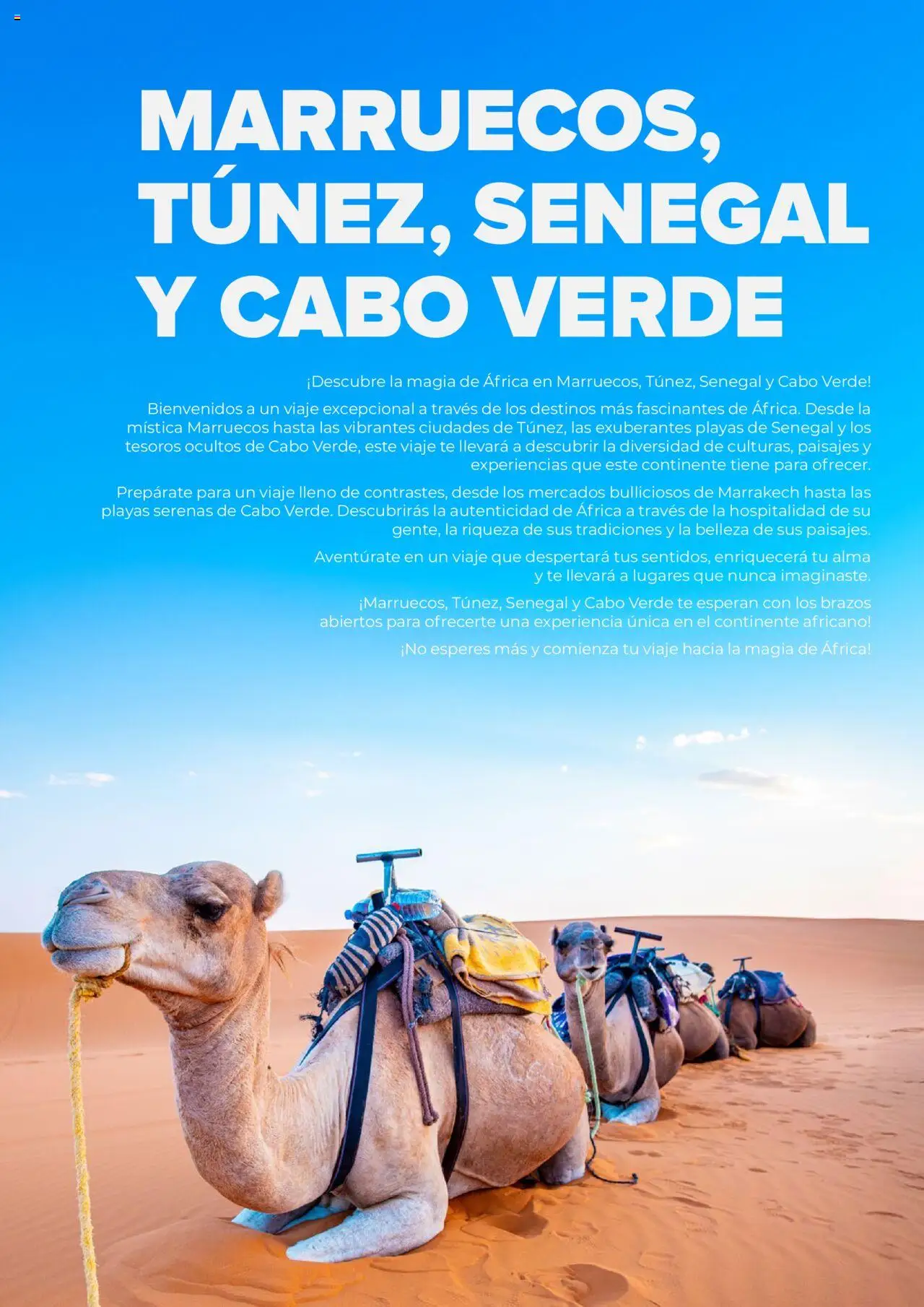 Viajes El Corte Inglés Africa y Oriente Medio │ válido desde el 01.01.2025 | Página: 7 | Productos: Té
