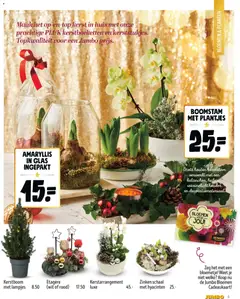 JUMBO folder / publicité - Voorbeeld van een folder van JUMBO, geldig van 03.12.2025 | Pagina: 5 | Producten: Bloemen, Schaal