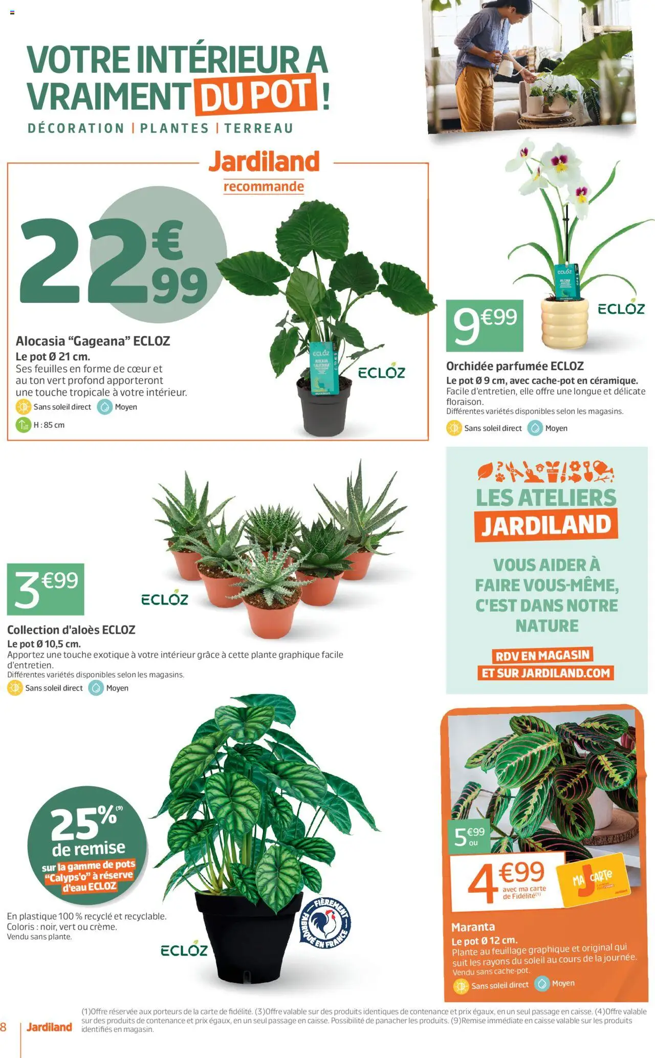 {H1} | Page: 8 | Produits: Plantes, Terreau, Orchidée