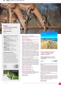 Vista previa Viajes El Corte Inglés Africa y Oriente Medio válido desde el 01.01.2026 | Página: 62 | Productos: Combi