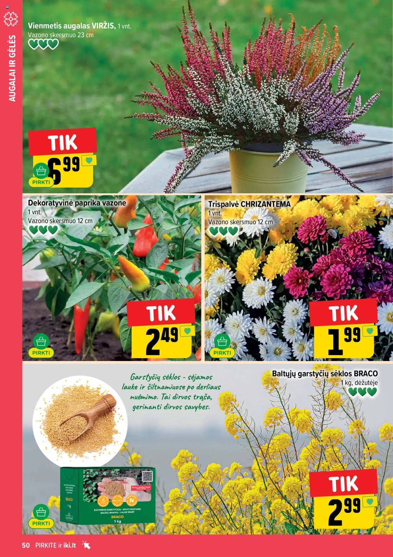 IKI akcijos nuo 08.09.2025 | Puslapis: 50 | Prekių: Paprika, Sėklos