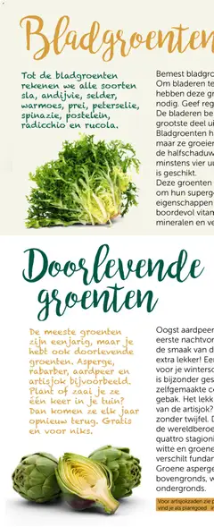 Aveve Groente- en kruidengids - Voorbeeld van een folder van Aveve, geldig van 23.02.2026 | Pagina: 12 | Producten: Groenten, Ui, Artisjok