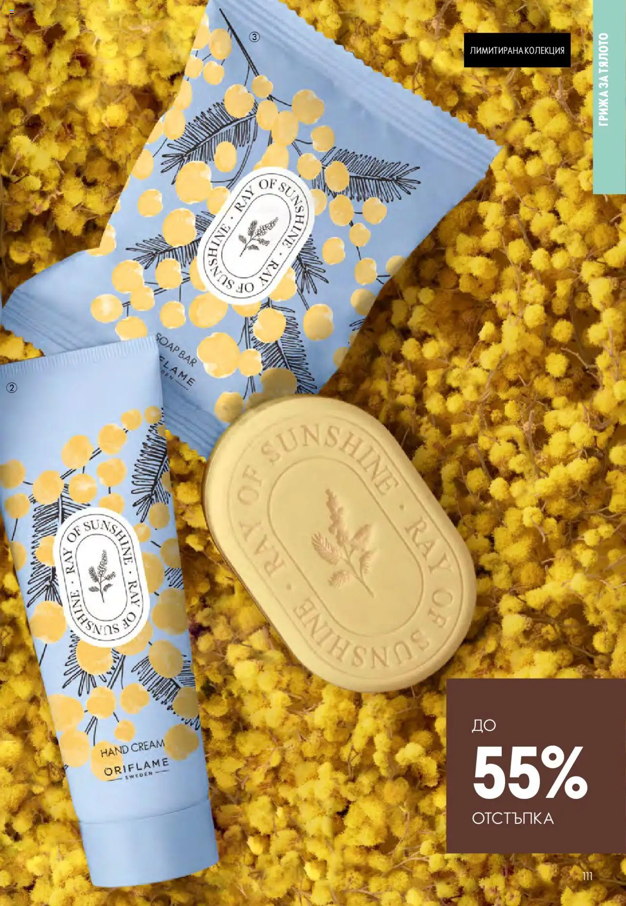 {H1} | Страница: 111