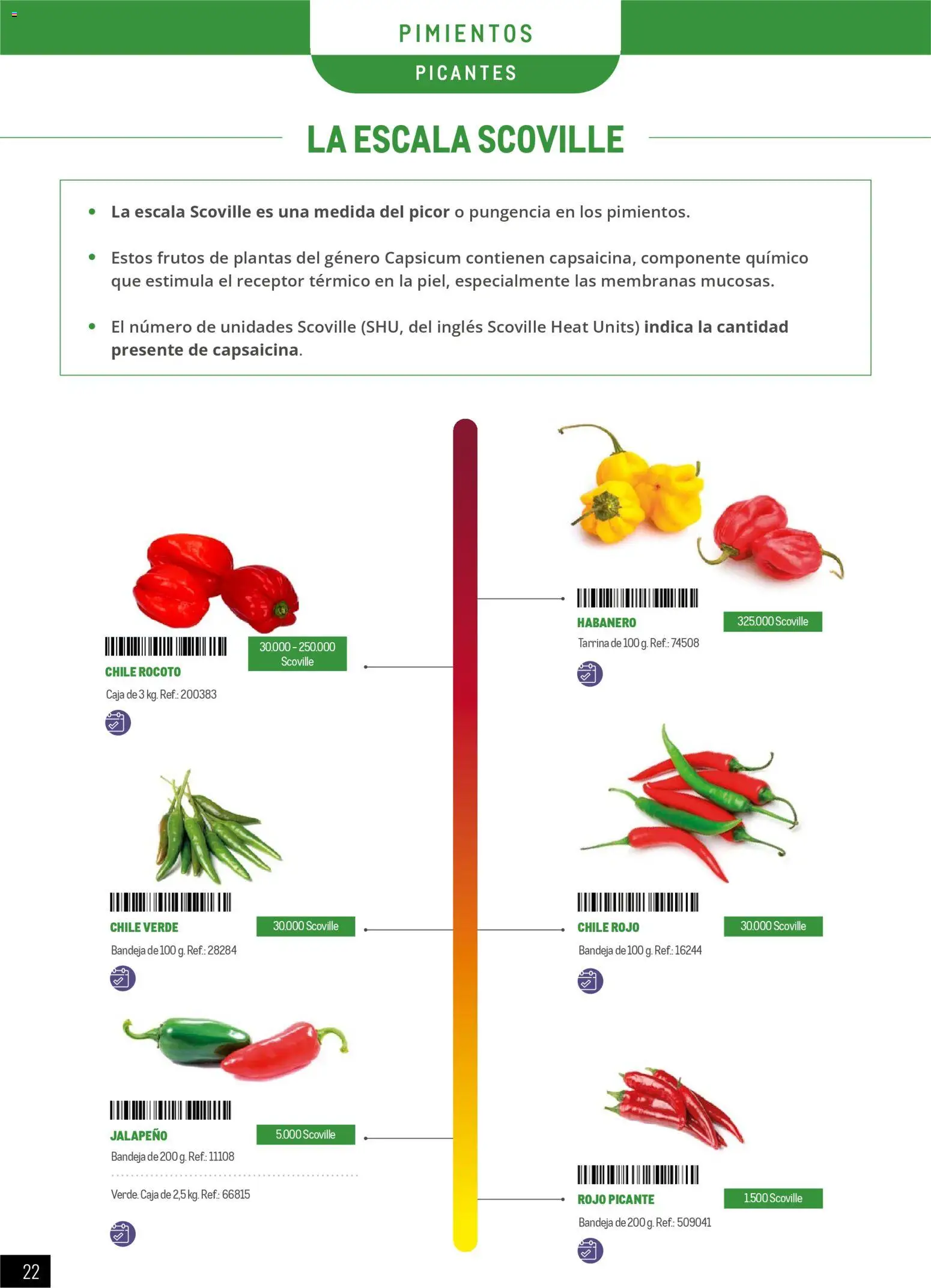 Makro - Especial Frutas y Verduras Península │ válido desde el 05.01.2026 | Página: 22 | Productos: Bandeja, Caja