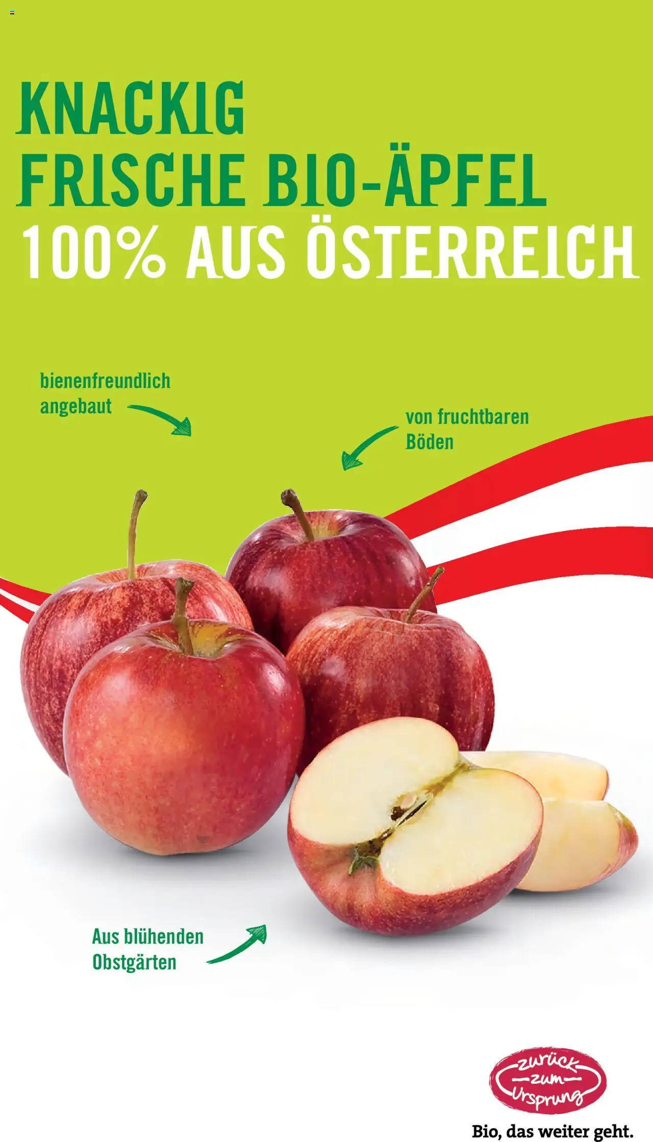 Hofer Flugblatt gültig ab 26.09.2025 | Seite: 27