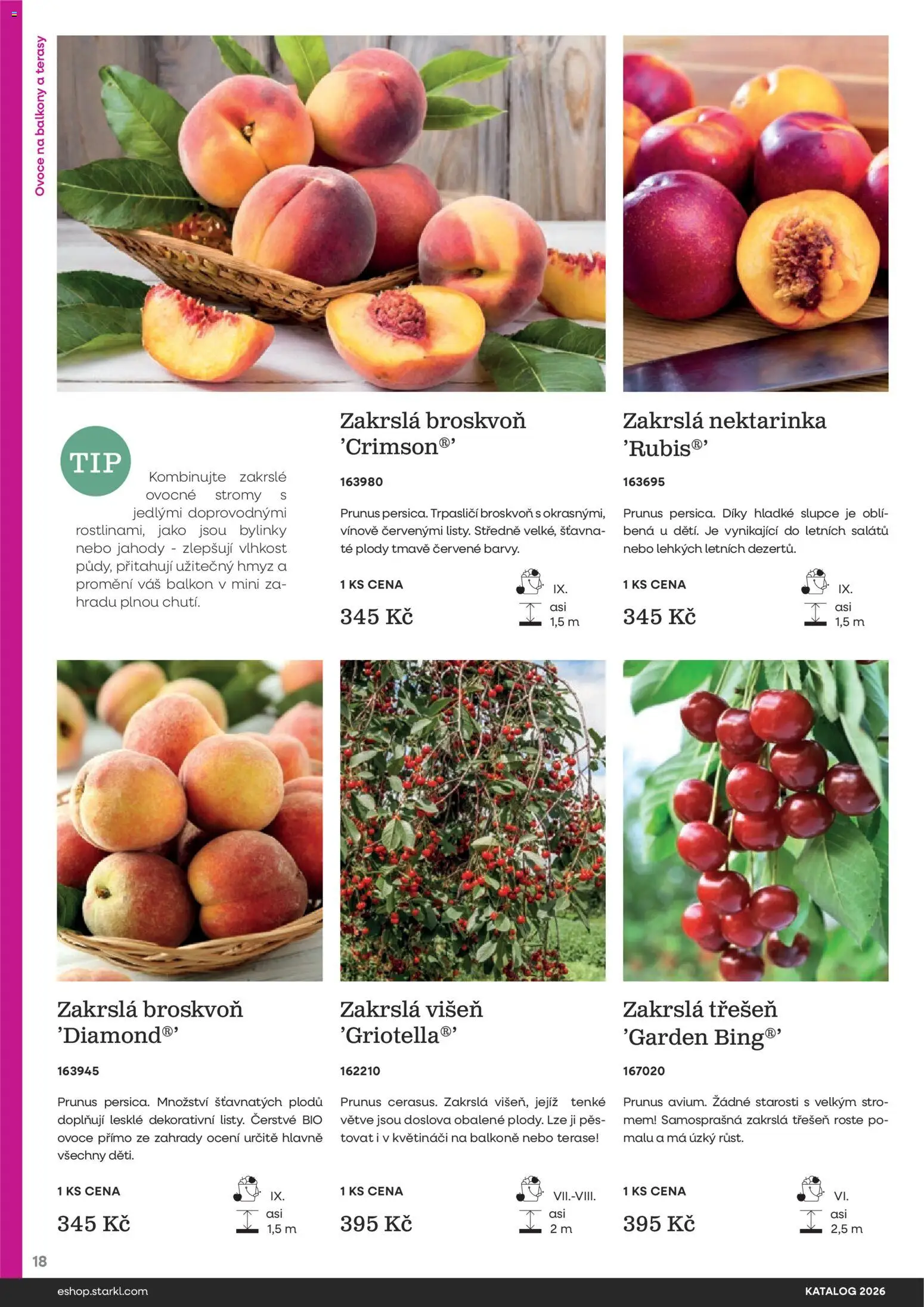Starkl katalog od 25.02.2026 | Strana: 18 | Produkty: Ovoce, Jahody, Barvy, Pes