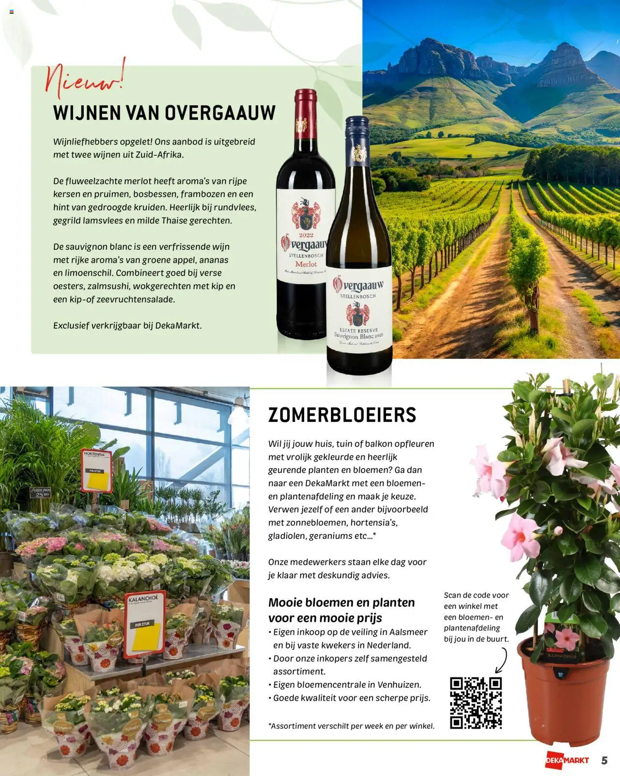  | Pagina: 5 | Producten: Kersen, Wijn, Ananas, Frambozen
