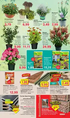 Jawoll Prospekt - gültig ab dem 28.07.2025 | Seite: 7 | Produkte: Hortensie, Blumen, Blumenerde, Wasser