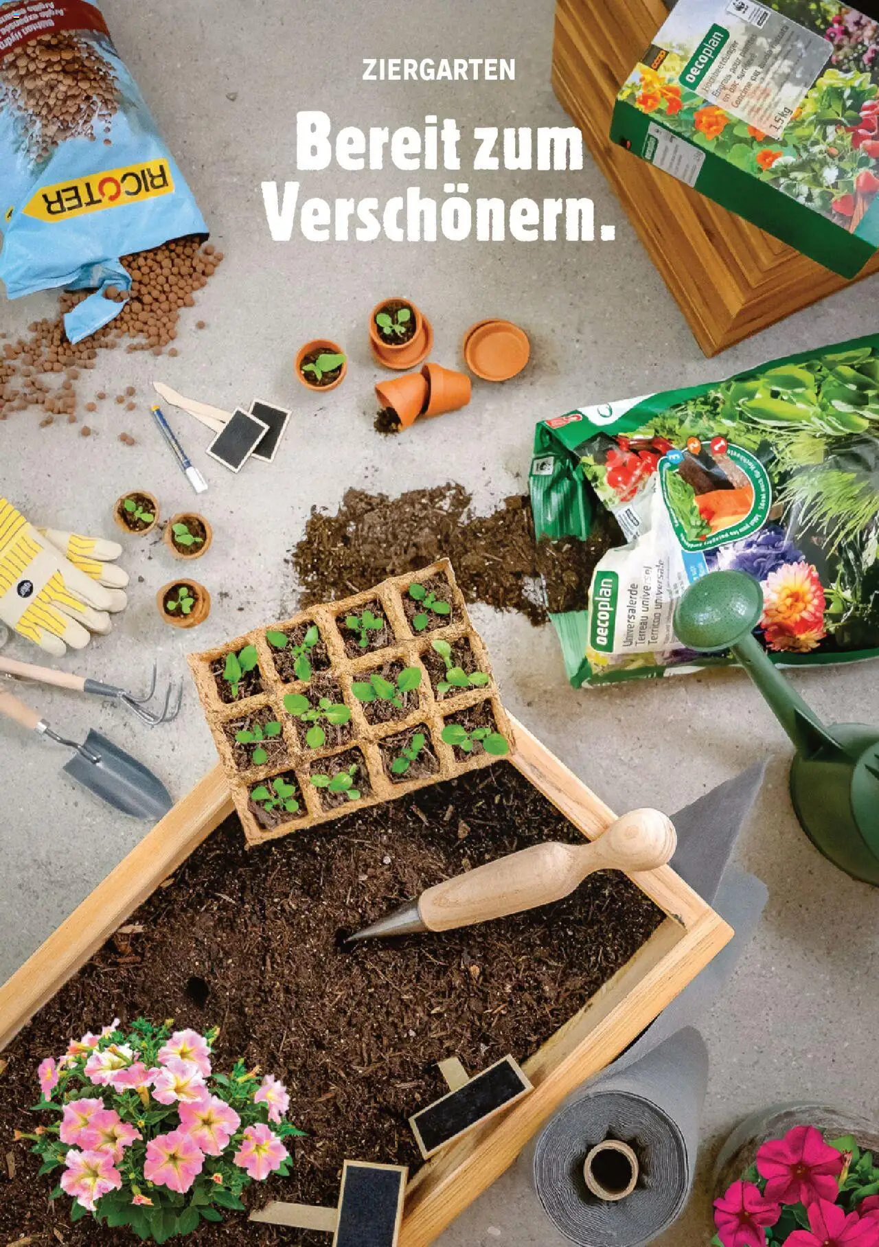 Jumbo Aktionen Dein Garten 2025 ab 21.02.2025 | Seite: 50