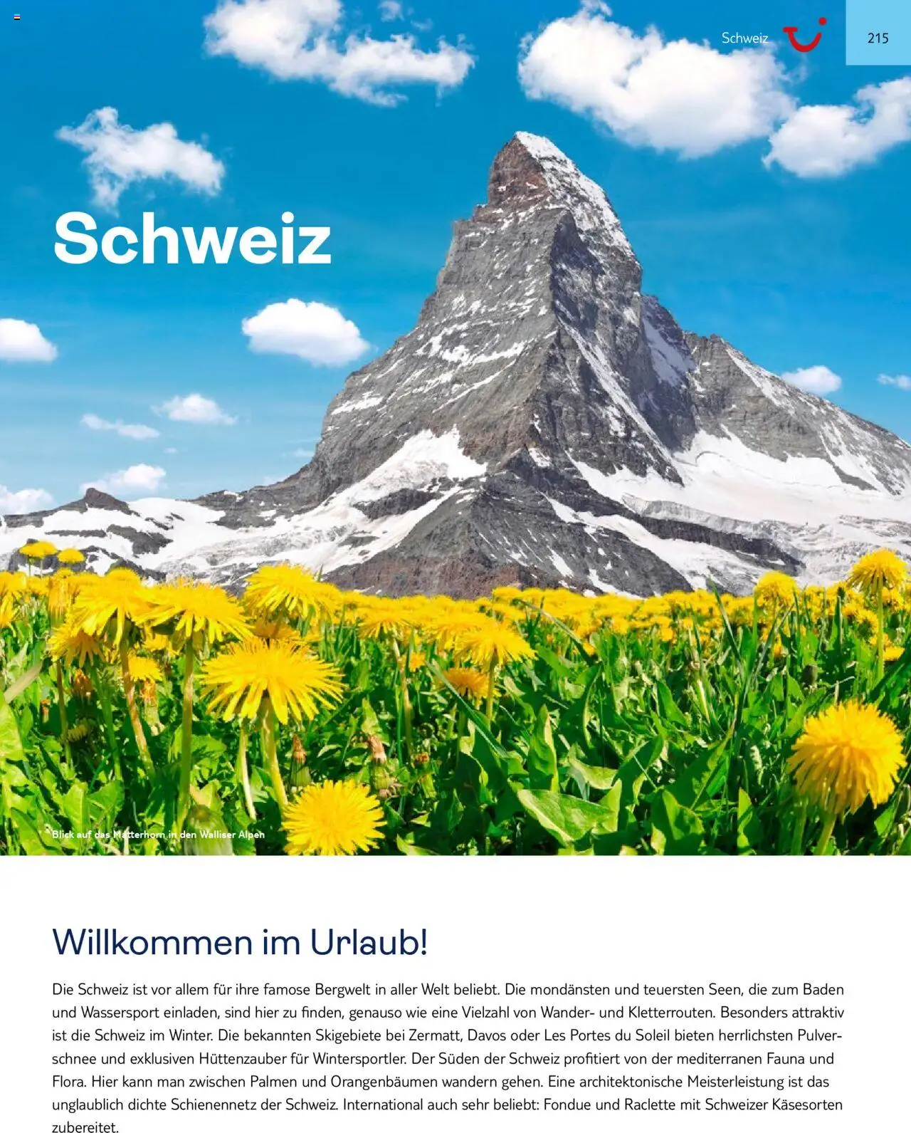 TUI Prospekt 	 – gültig ab 01.11.2024 | Seite: 215 | Produkte: Raclette, Fondue