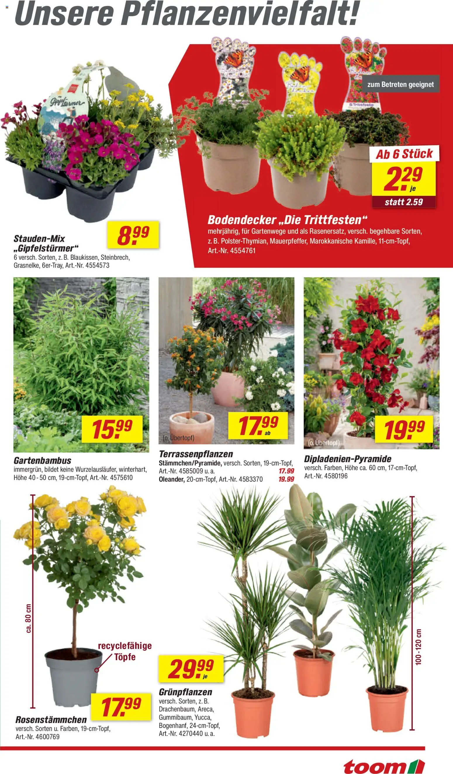 Toom Baumarkt Prospekt 	 – gültig ab 04.04.2026 | Seite: 9