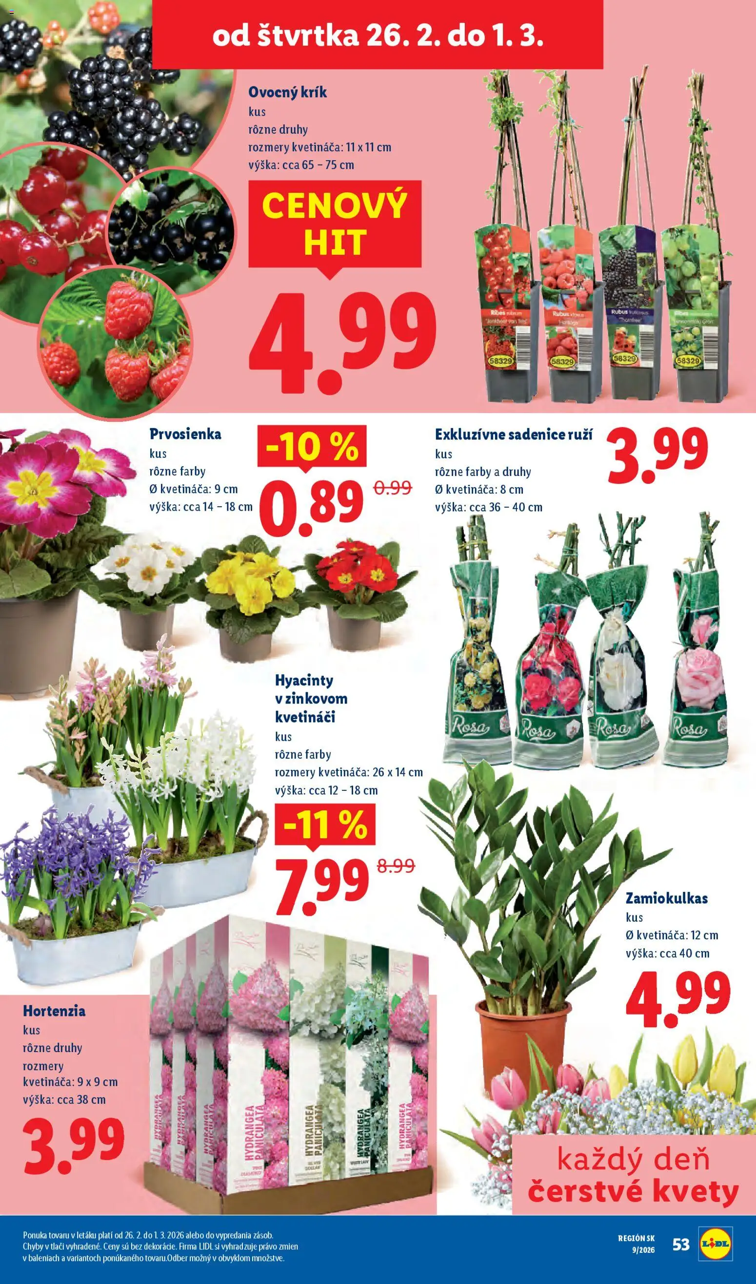 Nové Lidl akcie – leták je platný od 23.02.2026 | Strana: 89 | Produkty: Kvety
