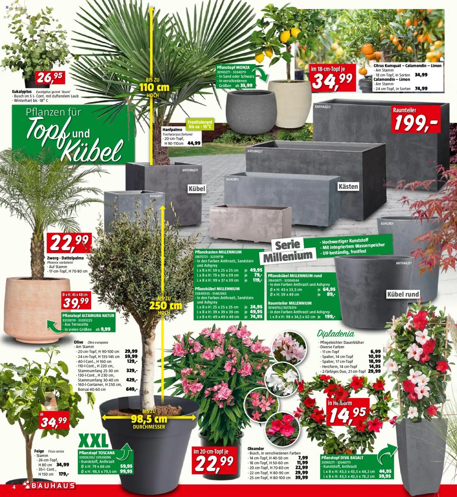 Bauhaus Prospekt aktuell gültig ab 29.04.2026 | Seite: 4