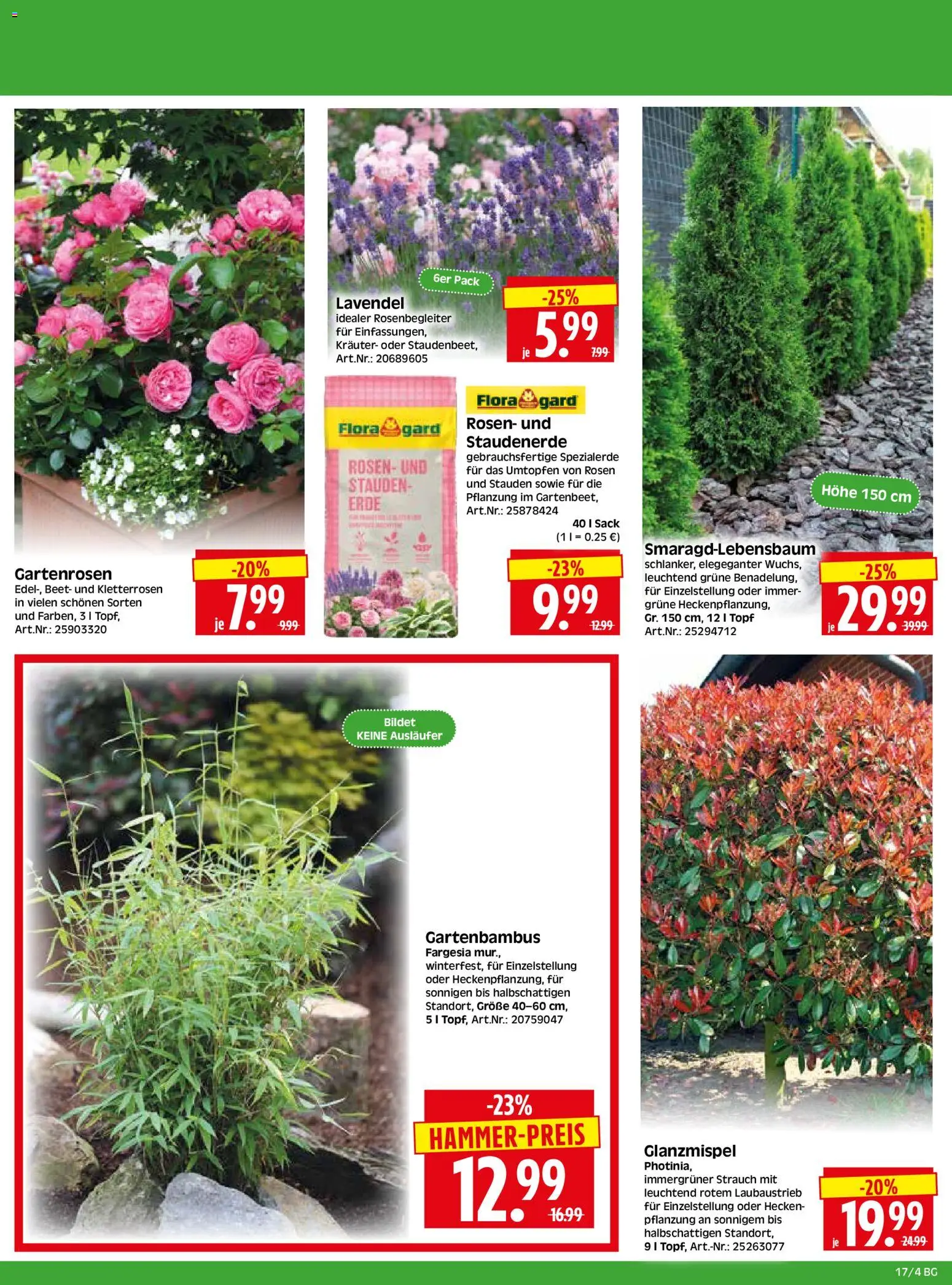 HERKULES  Bau & Garten – gültig ab 20.04.2026 | Seite: 4 | Produkte: Lavendel