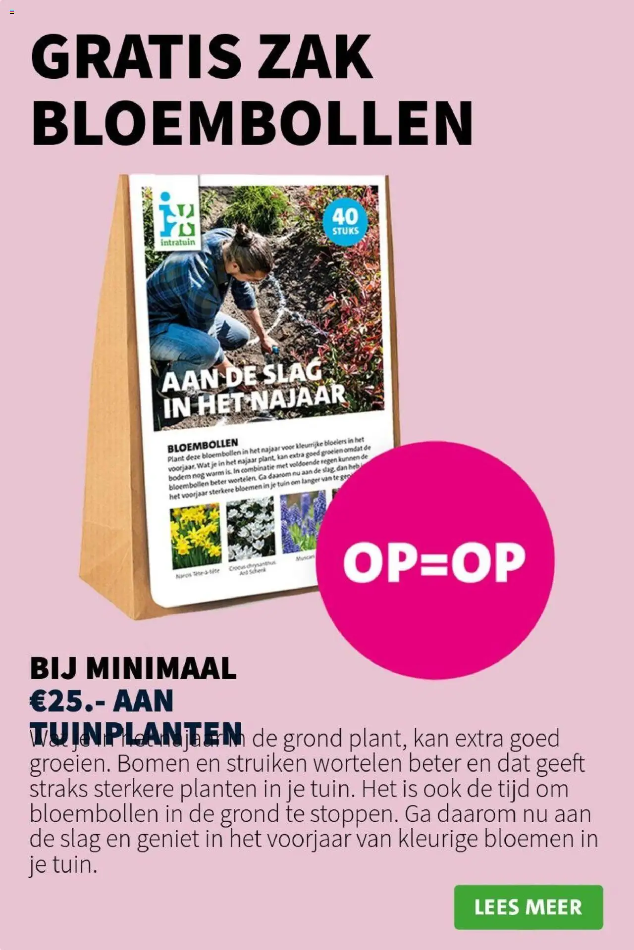  | Pagina: 4 | Producten: Wortelen, Kan, Bloemen, Zak