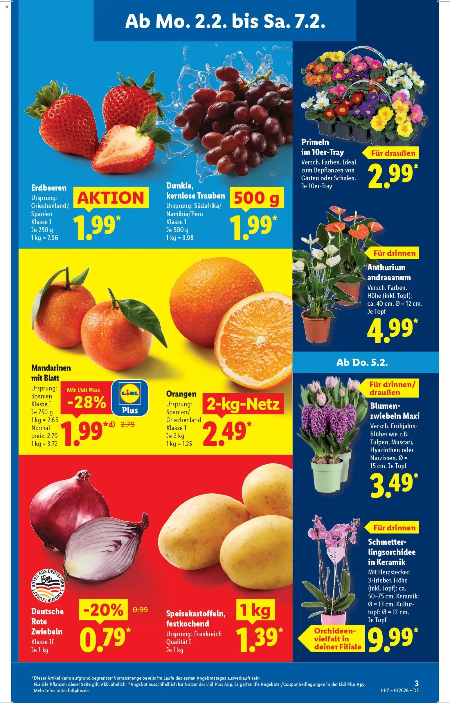 Lidl Prospekt Korntal-Münchingen – gültig ab 02.02.2026 | Seite: 5