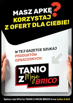 Pogląd oferty "Brico Marché Gazetka - Tanio z Moje Brico" - ważna od 30.07.2025
