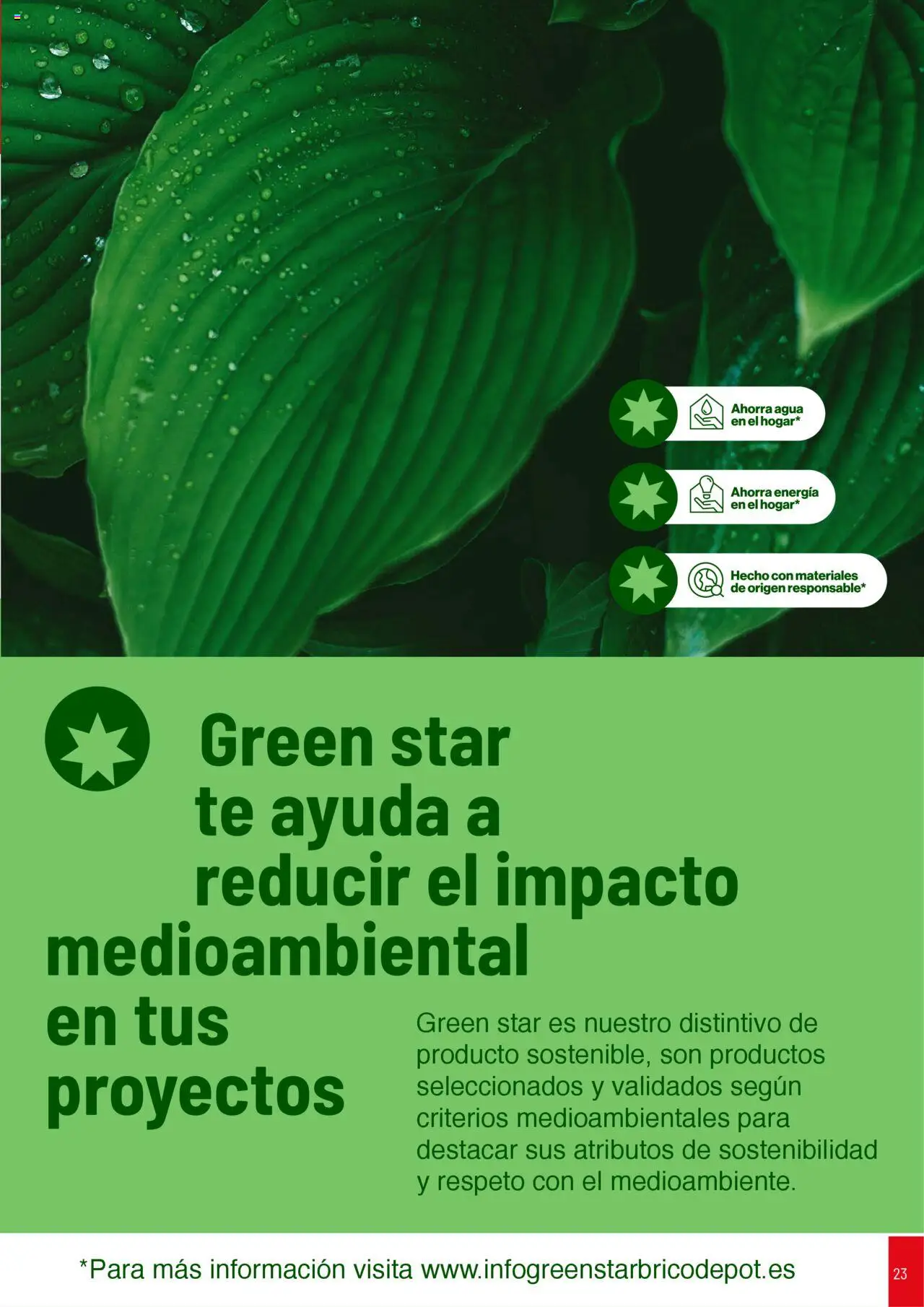 Brico Depôt Cocinas │ válido desde el 01.04.2025 | Página: 23 | Productos: Té