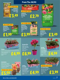 Preview of Lidl - Lidl Weekly valid from 26.03.2026 | Page: 19 | Products: Pot, Chips, Watch, Strawberry