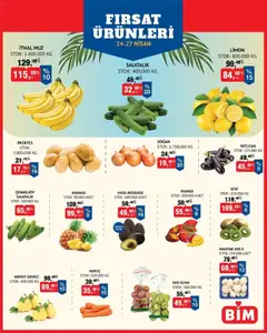 24.04.2026 tarihinden itibaren geçerli olan BİM kataloğu önizlemesi