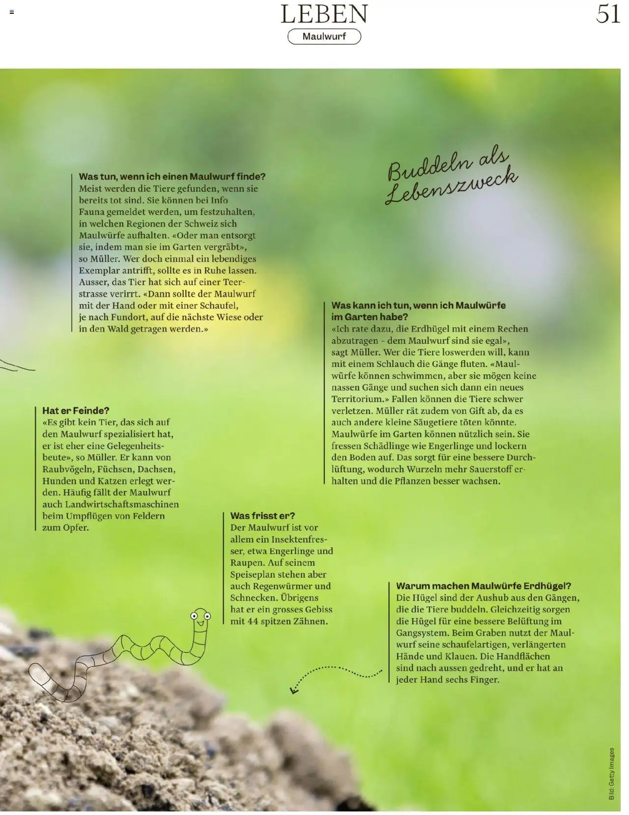 Migros - Magazin ab 05.08.2025 | Seite: 51