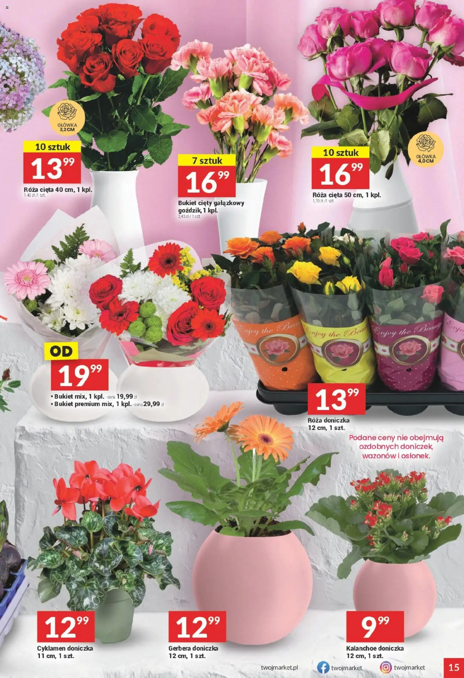 Twój Market Gazetka od 14.01.2026 | Strona: 15 | Produkty: Doniczka, Kalanchoe