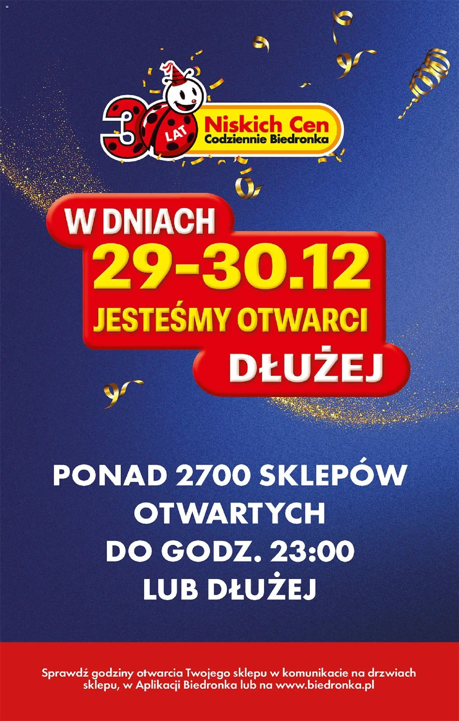 Biedronka gazetka od 29.12.2025 | Strona: 3