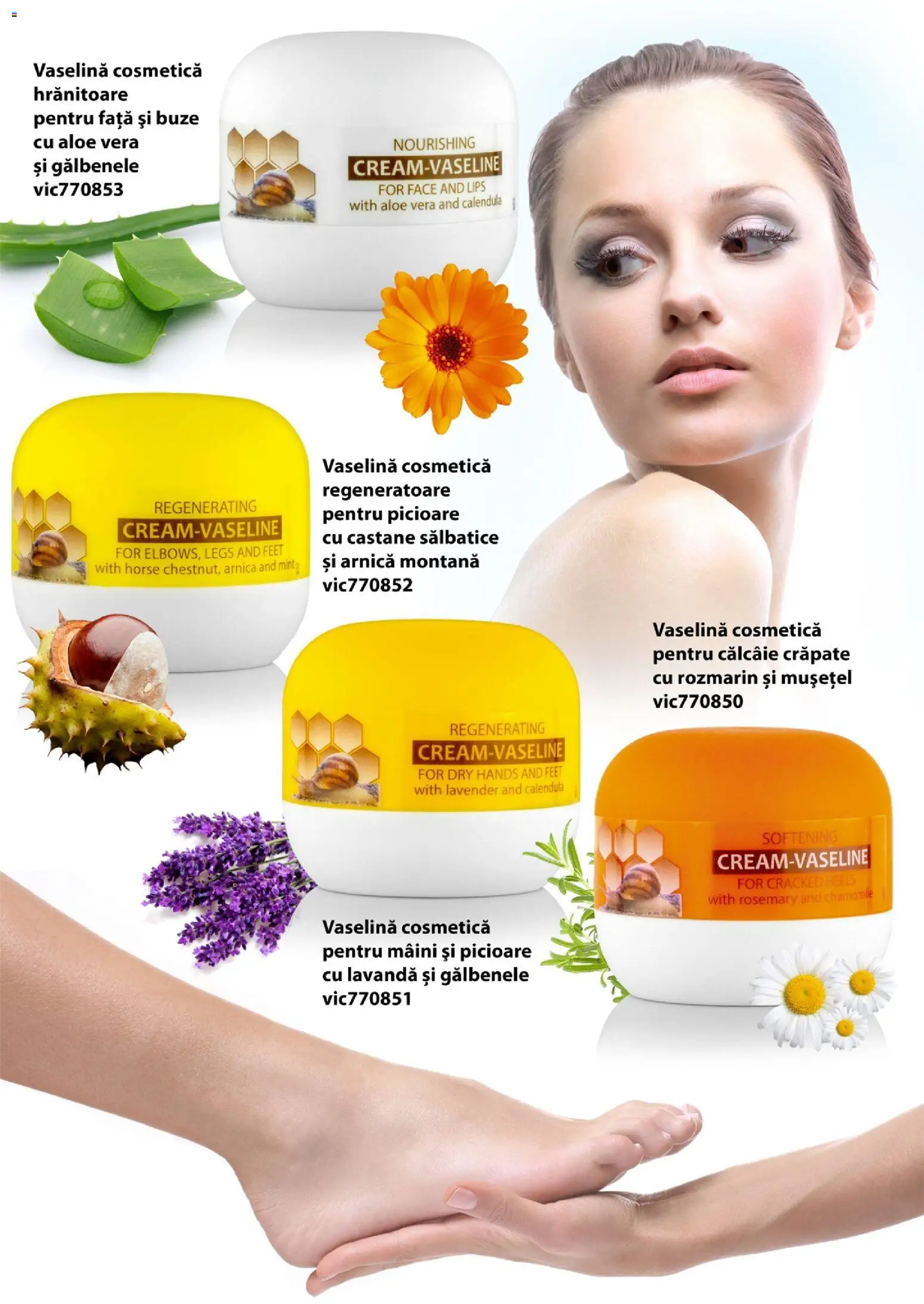 Noul catalog Lady’s – valabil de la 19.12.2019 | Pagină: 70 | Produse: Aloe vera