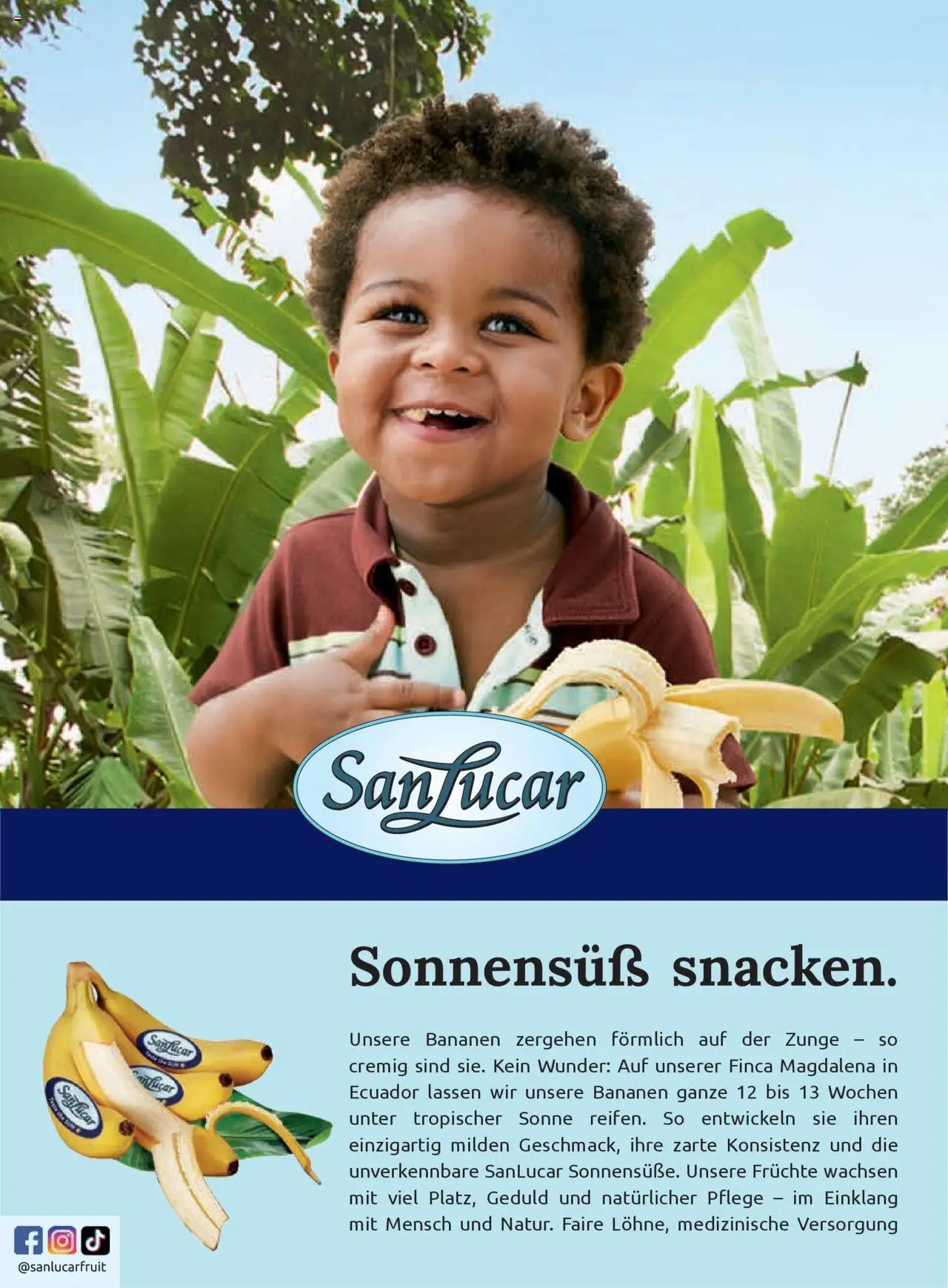 Billa Frisch Gekocht gültig ab 01.09.2025 | Seite: 74 | Produkte: Bananen