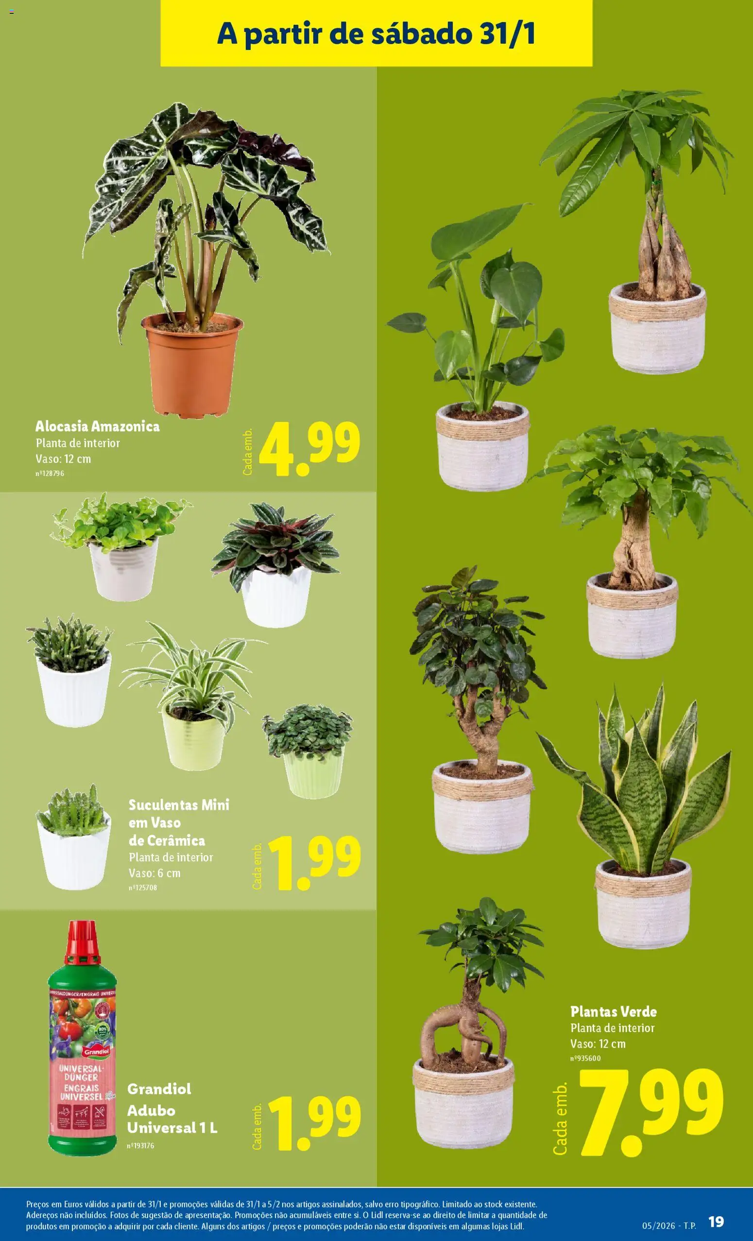 Lidl Novidades │ válido de 26.01.2026 | Página: 19 | Produtos: Vaso