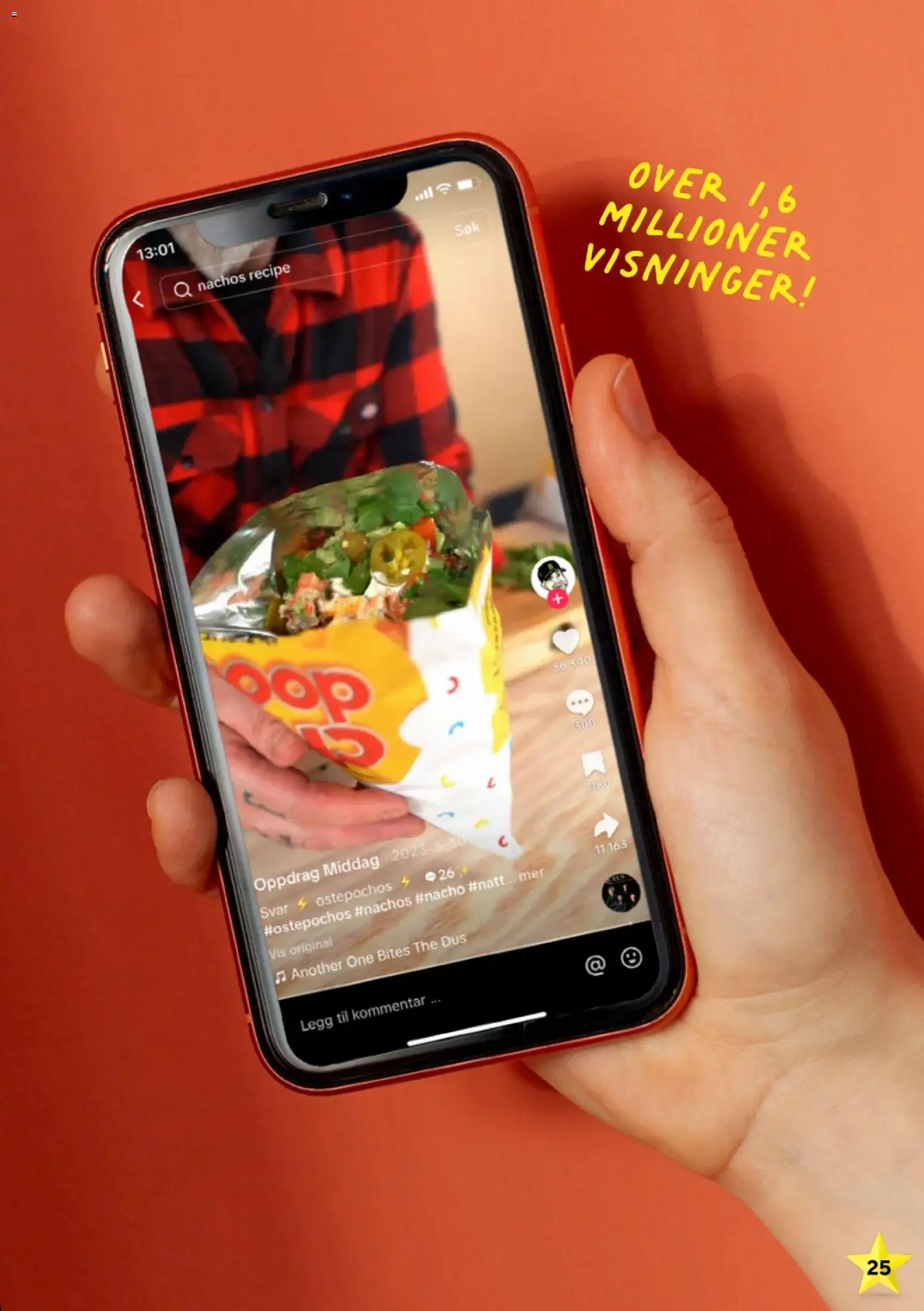 {H1} | Side: 25 | Produkter: Nachos