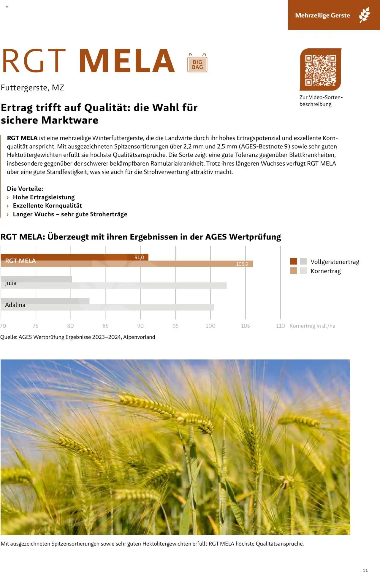 Lagerhaus Saatzeitung Herbst Feuchtgebiet gültig ab 01.09.2025 | Seite: 11