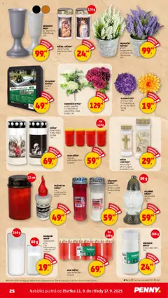 Penny Market leták - Čtvrtečník od 11.09.2025 | Strana: 25 | Produkty: Vřes, Lampička, Kytice, Barvy