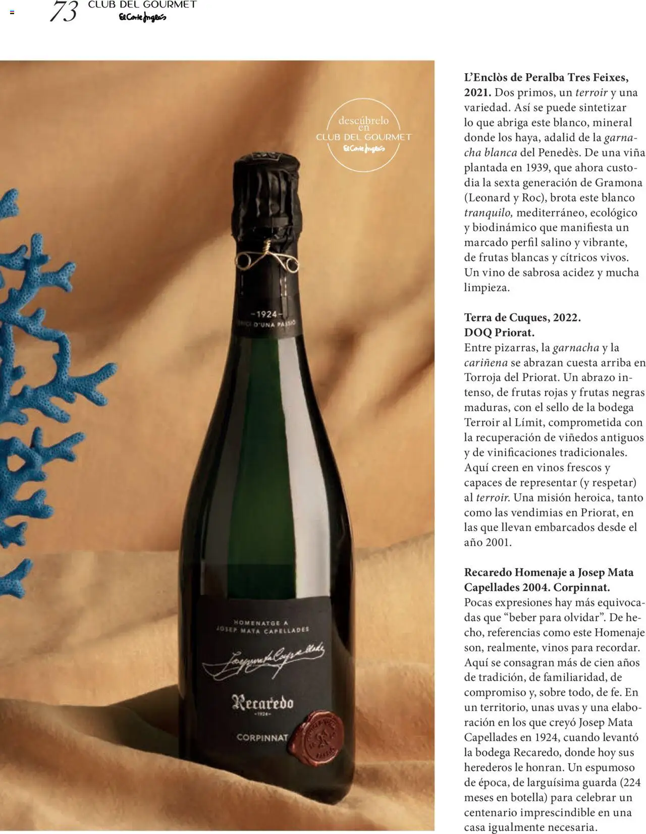 El Corte Inglés ofertas │ válido desde el 27.06.2025 | Página: 73 | Productos: Τζίντζερ, Vino