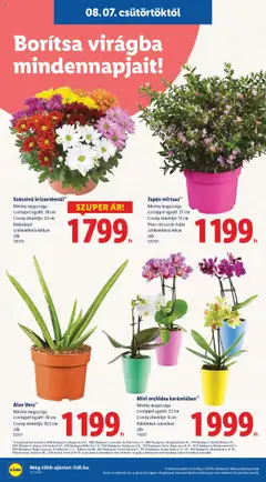 Lidl akciós ujság - amely érvényes a következő dátumtól: 07.08.2025 | Oldal: 16