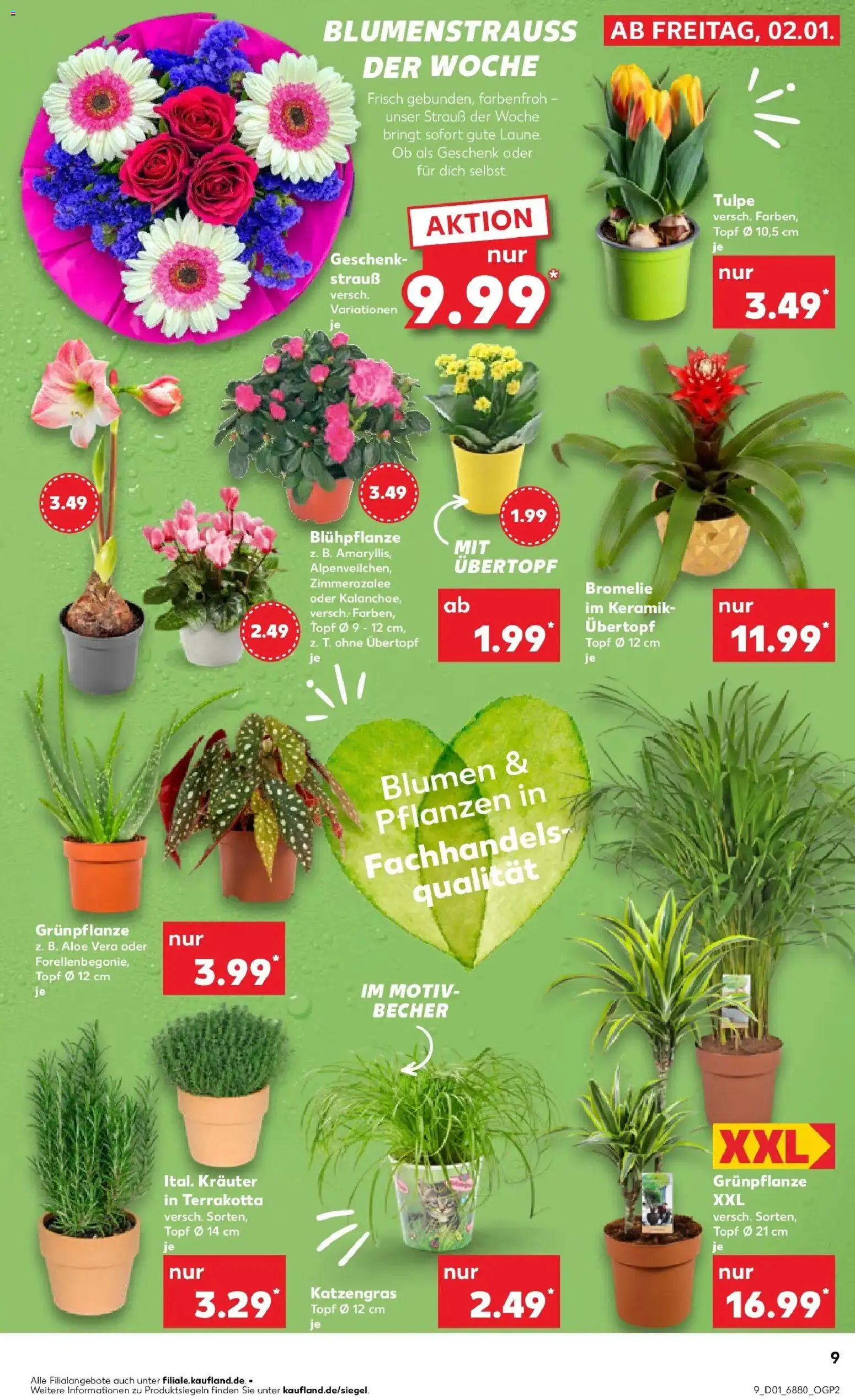 Kaufland prospekt Burgthann	 – gültig ab 05.01.2026 | Seite: 9 | Produkte: Blumen