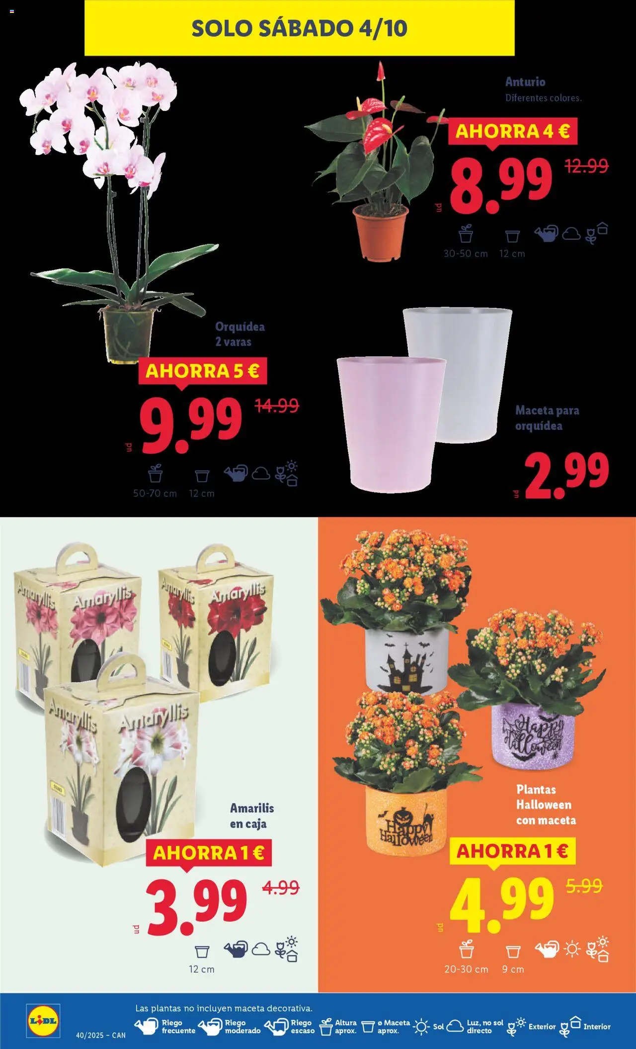 Lidl - Canarias │ válido desde el 29.09.2025 | Página: 34 | Productos: Caja, Maceta