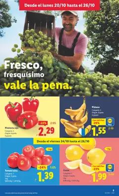 Vista previa Pimiento rojo, Categoría: I. Origen: España. A granel. válido desde el 20.10.2025 | Página: 5 | Productos: Κάδος απορρυμάτων